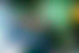 Фотография квеста Судный день от компании Rabbit Hole (Фото 1)