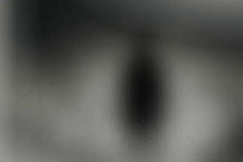 Квест «Ганнибал» от RAN
