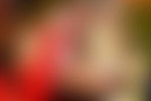 Фотография экшн-игры Форт Боярд от компании Super Show (Фото 2)