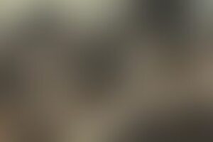 Фотография ролевого квеста Неделя мертвецов: долгая ночь 2 от компании Дядюшка Виглаф (Фото 1)
