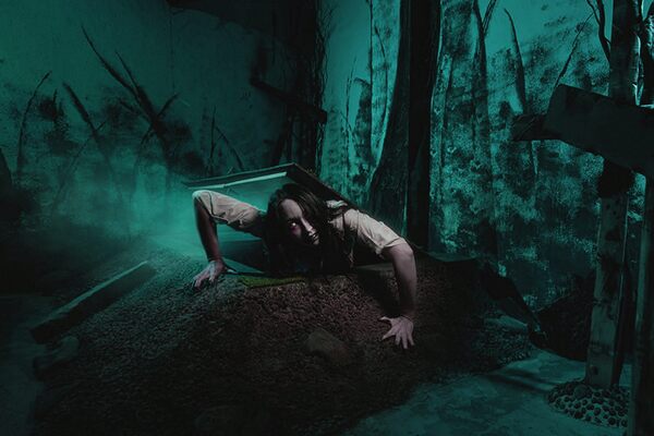 Кладбище домашних животных