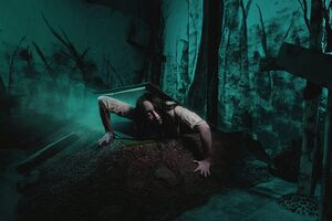 Фотография перформанса Кладбище домашних животных от компании Quest Stars/Квестофилы (Фото 1)