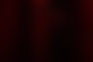 Фотография перформанса Дом теней от компании Импульс (Фото 2)