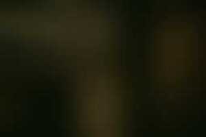 Фотография перформанса Дом теней от компании Импульс (Фото 3)