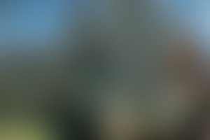 Фотография VR-квеста Delete23319 от компании Delete (Фото 1)