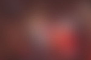 Фотография квеста Хижина в лесу от компании Паника (Фото 2)