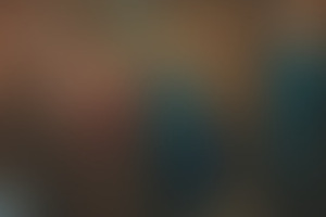 Фотография квеста Хижина в лесу от компании Паника (Фото 3)