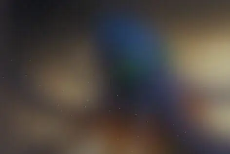 Квест «Тайны острова Кокос» от Острова