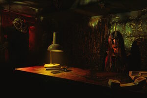 Фотография перформанса Silent Hill от компании Паника (Фото 5)