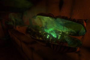 Фотография квеста Секрет гробницы Тутанхамона от компании Синема (Фото 4)