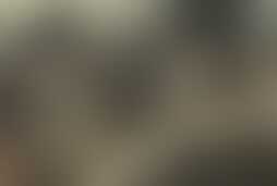 Фотография ролевого квеста Неделя мертвецов: долгая ночь 2 от компании Дядюшка Виглаф (Фото 1)