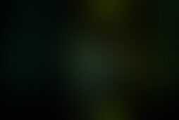 Фотография перформанса Outlast от компании Outlast (Фото 2)